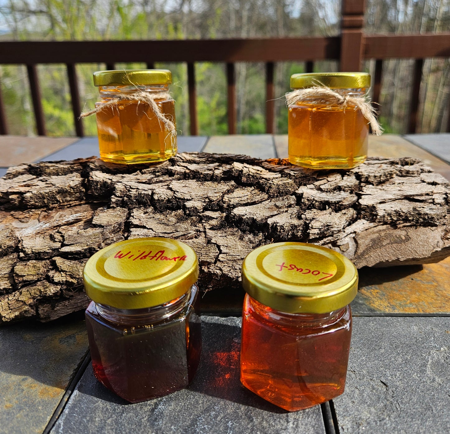 100% Raw Unpasteurized Honey Sampler Pack