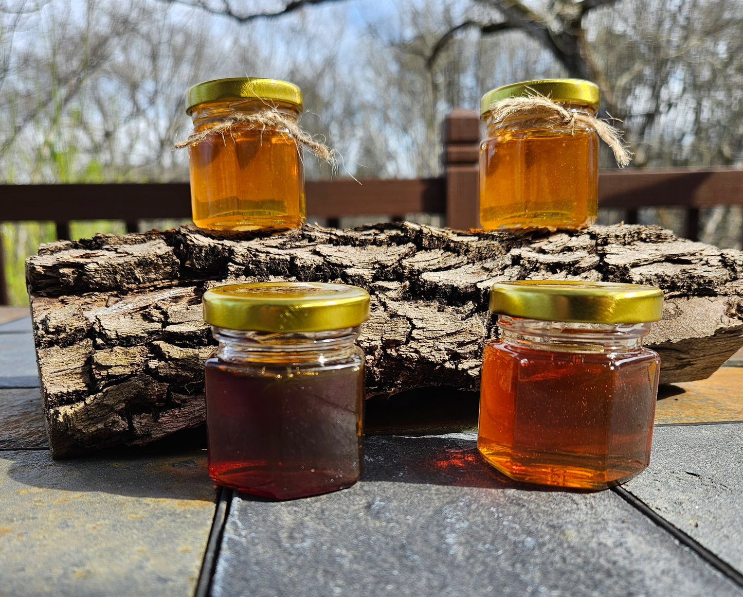 100% Raw Unpasteurized Honey Sampler Pack