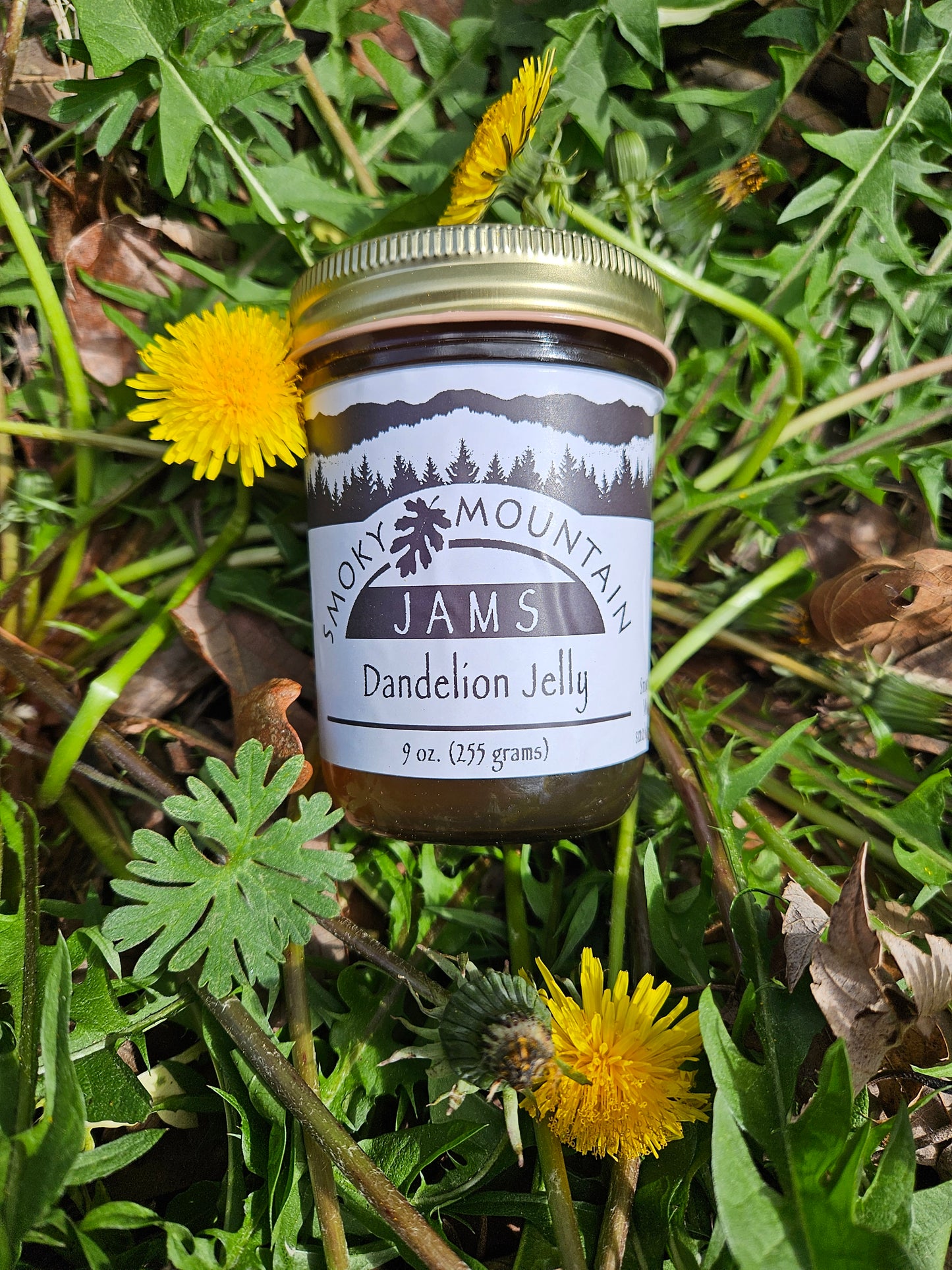 Homestyle Dandelion Jelly