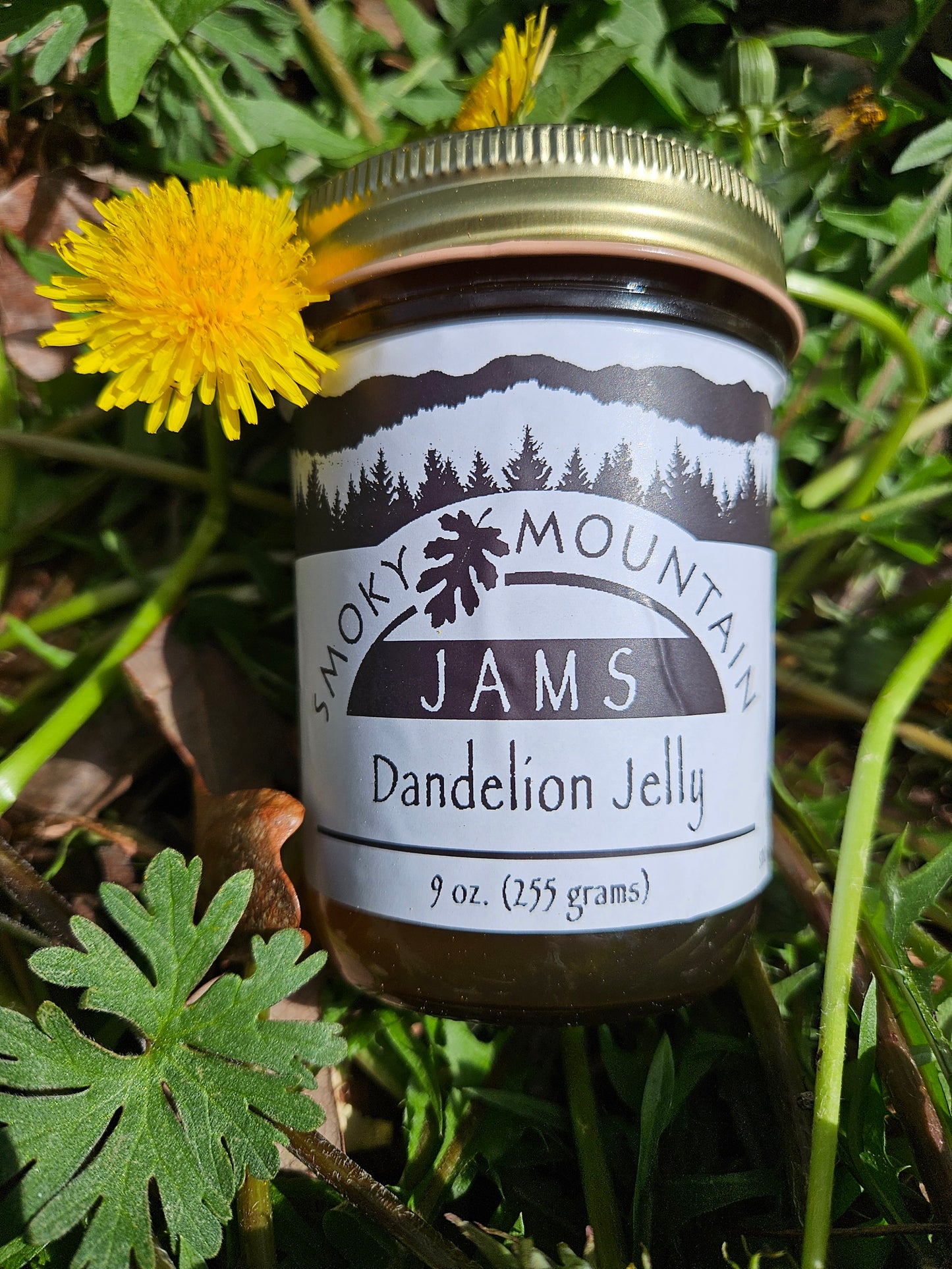 Homestyle Dandelion Jelly