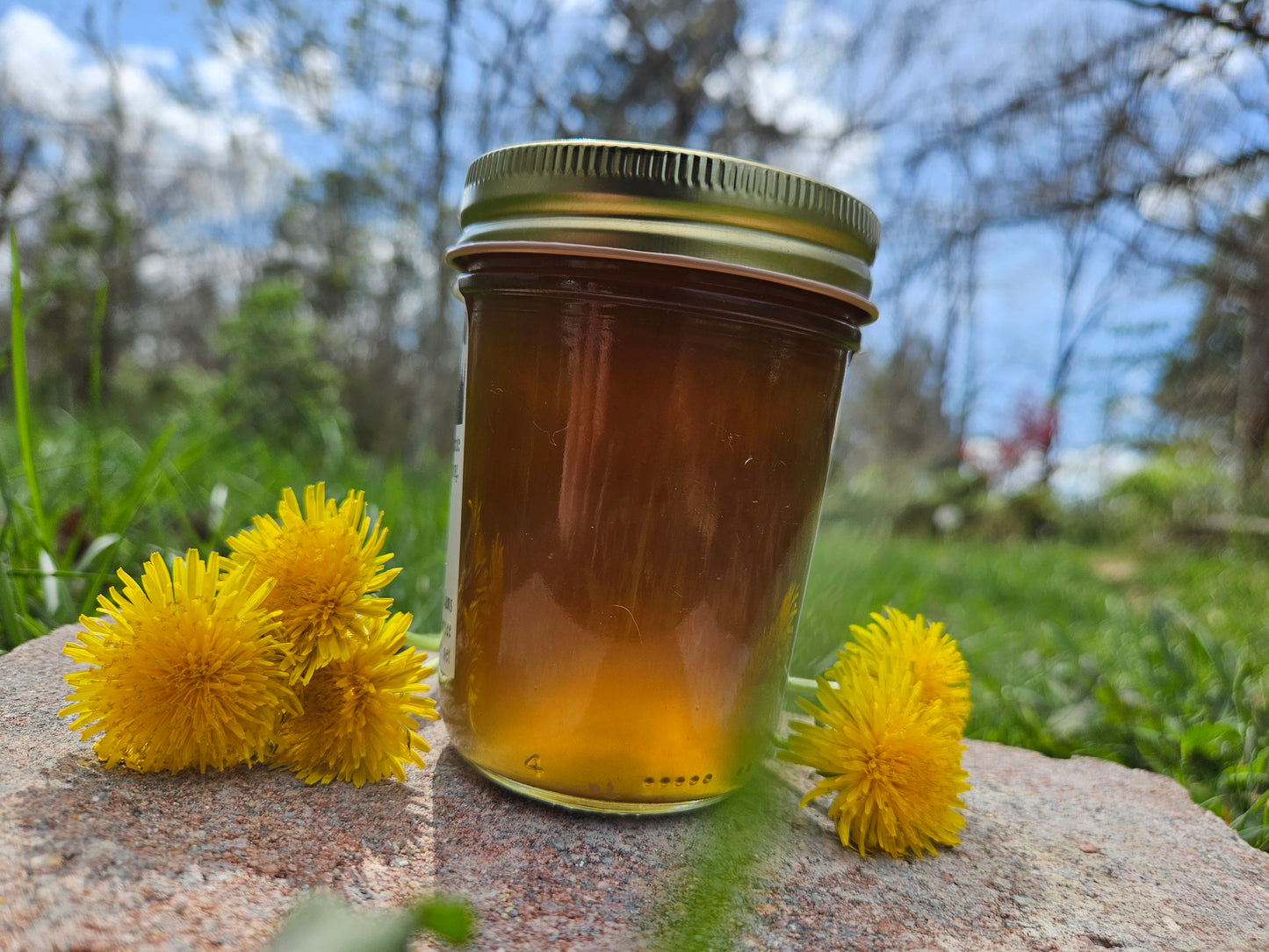 Homestyle Dandelion Jelly